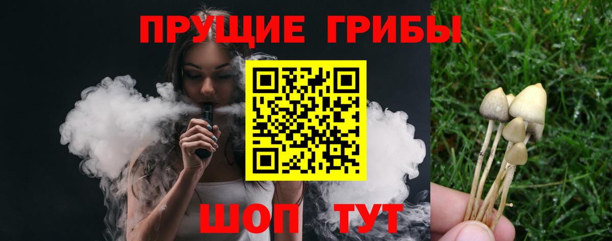 Златоуст  Псилоцибиновые грибы мицелий  Вход с VPN 