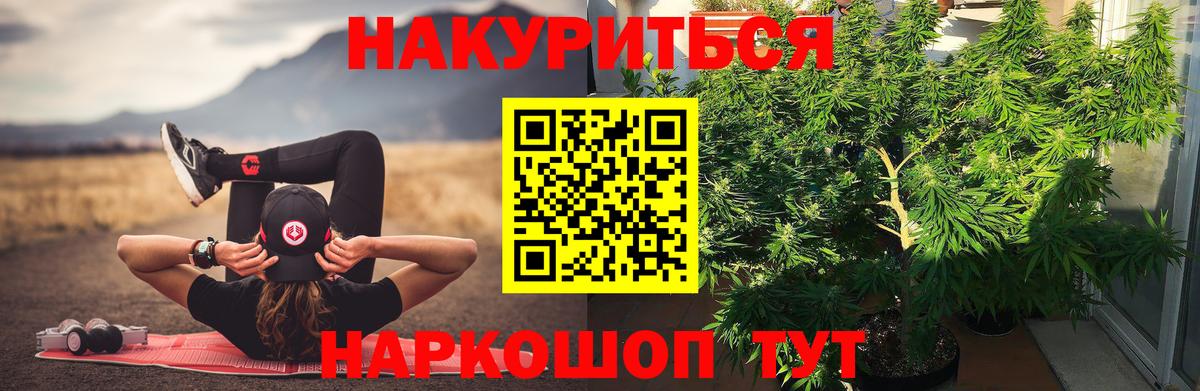 Конопля ГИДРОПОН  Бошки марихуана семена  Златоуст  МАРИХУАНА гибрид  Вход с VPN  Канабис THC 21% 